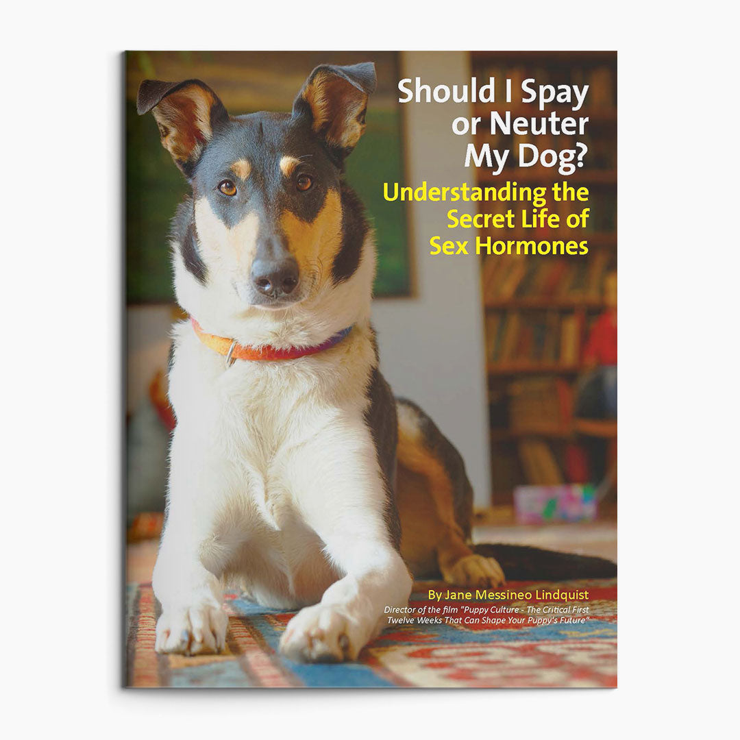 Essentials for Puppy Owners