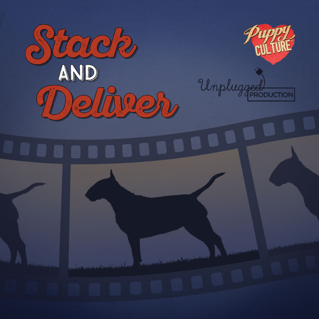 Showing Training Bundle