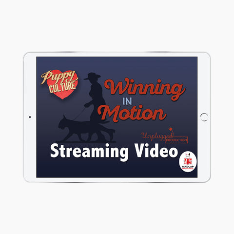 Winning in Motion