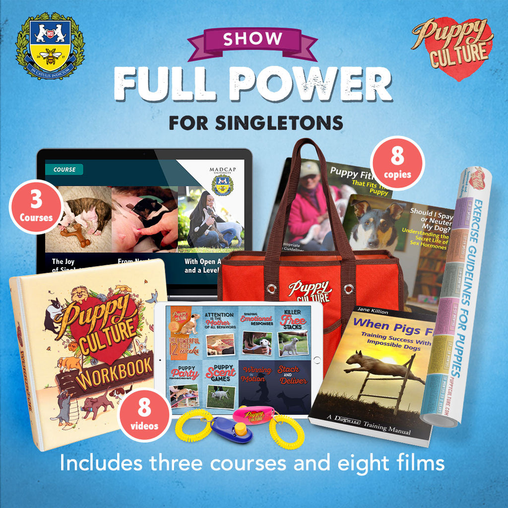 Full Power of Puppy Culture for Singletons – Show Package
