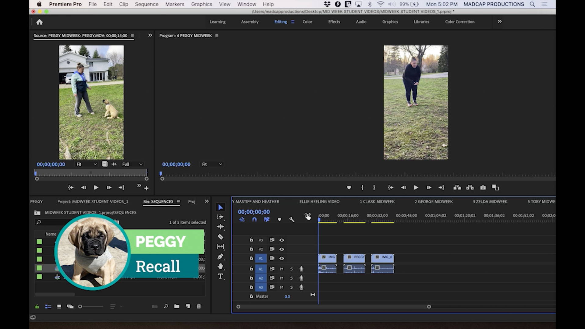 Video