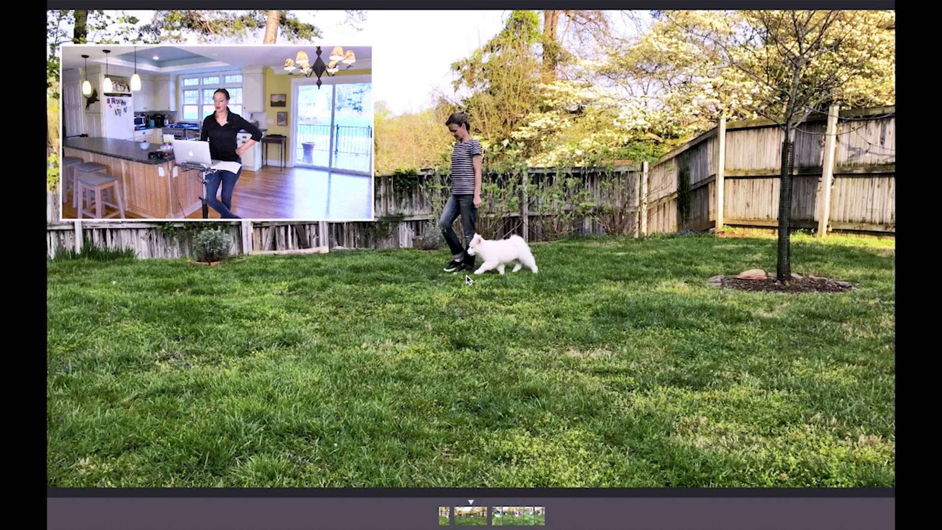 Video
